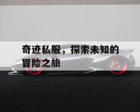 奇迹私服，探索未知的冒险之旅