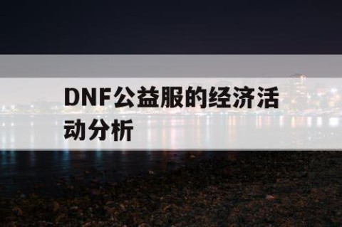DNF公益服的经济活动分析
