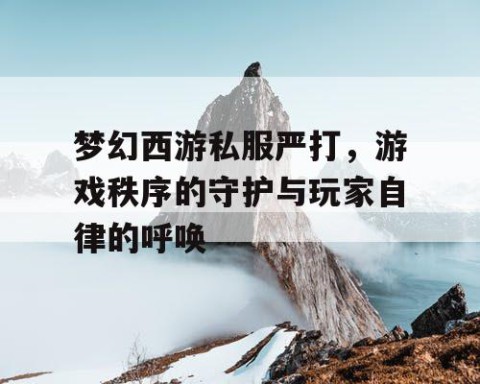 梦幻西游私服严打，游戏秩序的守护与玩家自律的呼唤