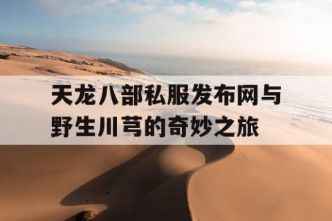 天龙八部私服发布网与野生川芎的奇妙之旅