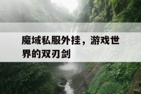 魔域私服外挂，游戏世界的双刃剑