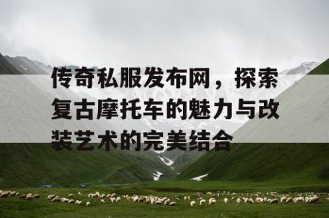 传奇私服发布网，探索复古摩托车的魅力与改装艺术的完美结合