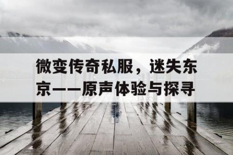 微变传奇私服，迷失东京——原声体验与探寻