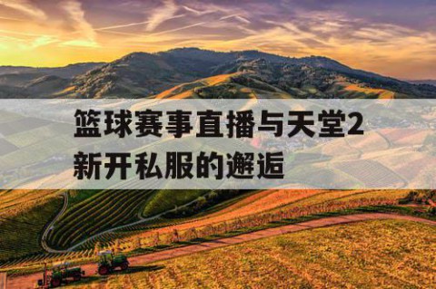 篮球赛事直播与天堂2新开私服的邂逅