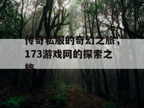 传奇私服的奇幻之旅，173游戏网的探索之旅