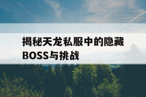 揭秘天龙私服中的隐藏BOSS与挑战