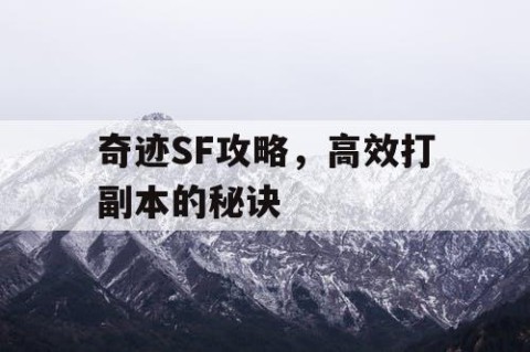 奇迹SF攻略，高效打副本的秘诀