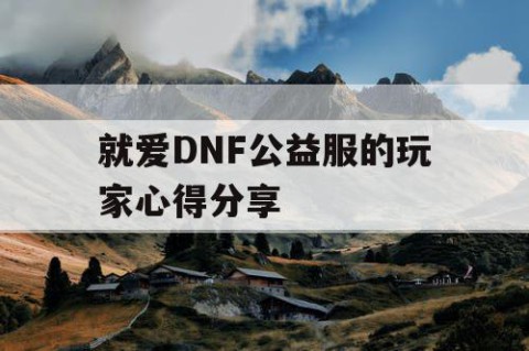 就爱DNF公益服的玩家心得分享