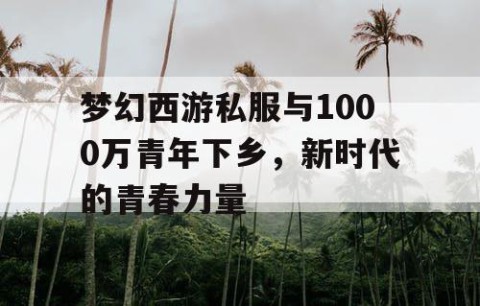 梦幻西游私服与1000万青年下乡，新时代的青春力量