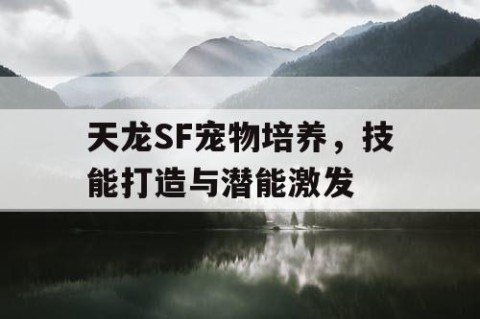 天龙SF宠物培养，技能打造与潜能激发