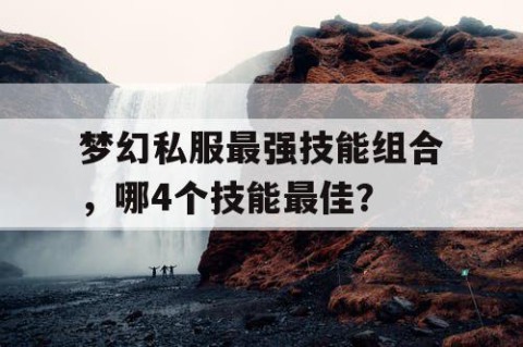 梦幻私服最强技能组合，哪4个技能最佳？