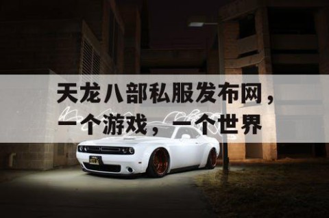 天龙八部私服发布网，一个游戏，一个世界