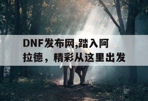 DNFSF公益服发布网 - 持续创新·引领潮流·打造公益服新标杆