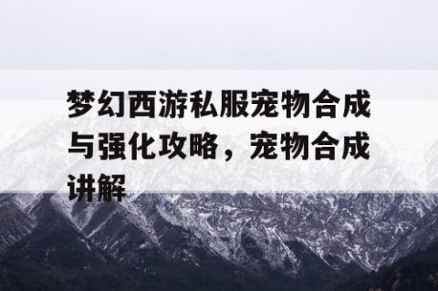 梦幻西游私服宠物合成与强化攻略，宠物合成讲解