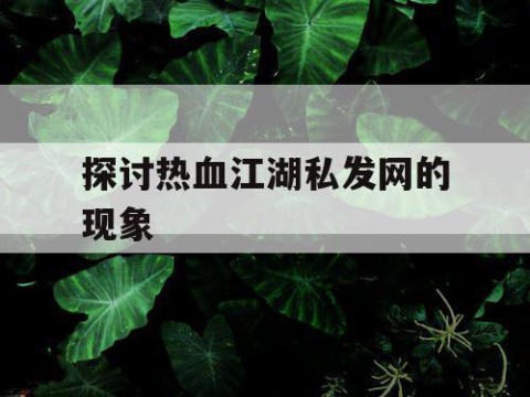 探讨热血江湖私发网的现象