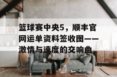 篮球赛中央5，顺丰官网运单资料签收图——激情与速度的交响曲