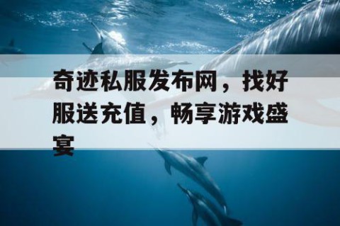 奇迹私服发布网，找好服送充值，畅享游戏盛宴