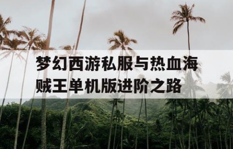 梦幻西游私服与热血海贼王单机版进阶之路
