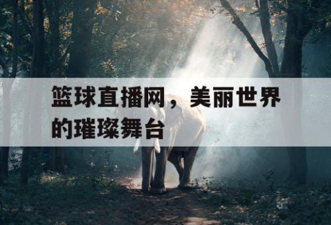 篮球直播网，美丽世界的璀璨舞台