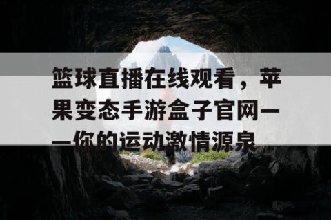 篮球直播在线观看，苹果变态手游盒子官网——你的运动激情源泉