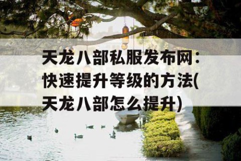 天龙八部私服发布网：快速提升等级的方法(天龙八部怎么提升)