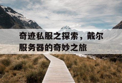 奇迹私服之探索，戴尔服务器的奇妙之旅