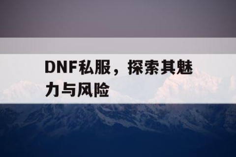 DNF私服，探索其魅力与风险