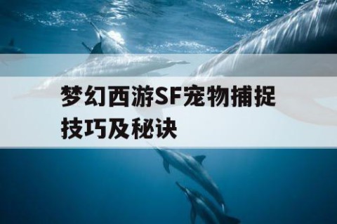 梦幻西游SF宠物捕捉技巧及秘诀