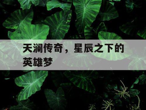 天澜传奇，星辰之下的英雄梦