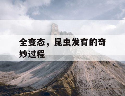 全变态，昆虫发育的奇妙过程
