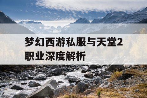 梦幻西游私服与天堂2职业深度解析