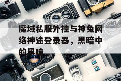 魔域私服外挂与神兔网络神途登录器，黑暗中的黑暗