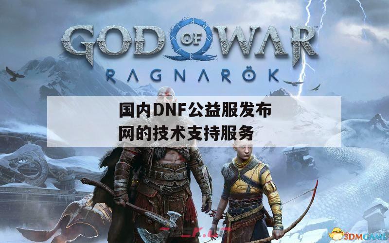 国内DNF公益服发布网的技术支持服务