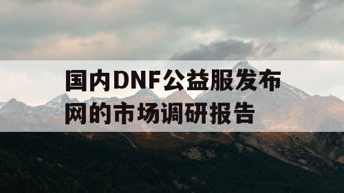 国内DNF公益服发布网的市场调研报告