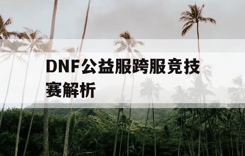 DNF公益服跨服竞技赛解析