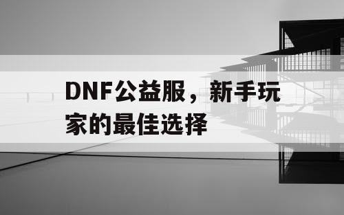 DNF公益服，新手玩家的最佳选择