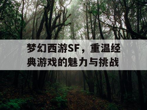 梦幻西游SF,重温经典游戏的魅力与挑战 梦幻西游SF,重温经典游戏的魅力与挑战