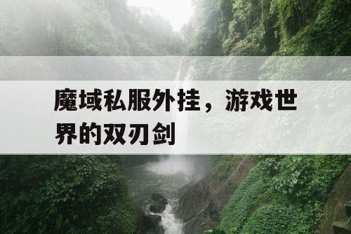 魔域私服外挂，游戏世界的双刃剑