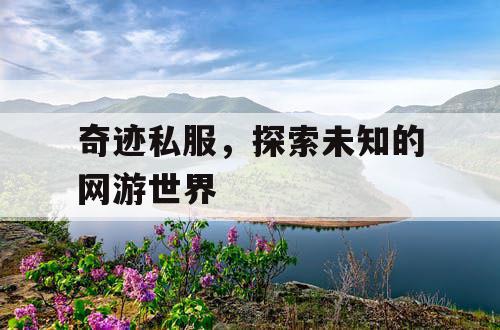 奇迹私服，探索未知的网游世界