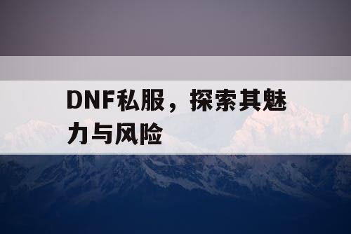 DNF私服，探索其魅力与风险