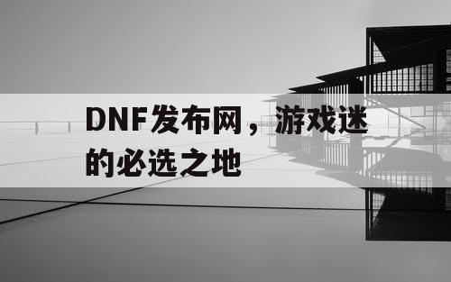 DNF发布网，游戏迷的必选之地