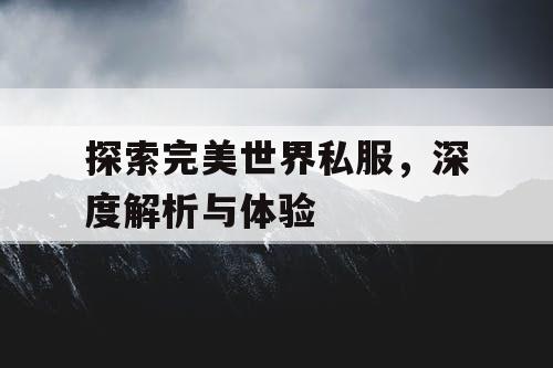 探索完美世界私服，深度解析与体验