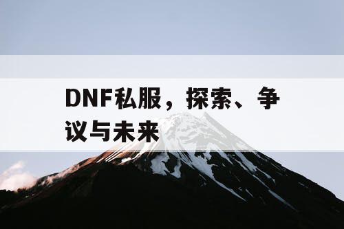 DNF私服，探索、争议与未来