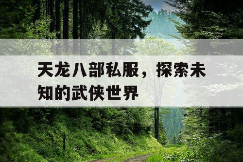 天龙八部私服，探索未知的武侠世界