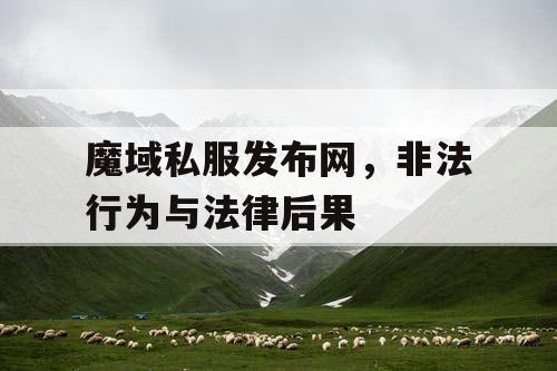 魔域私服发布网，非法行为与法律后果