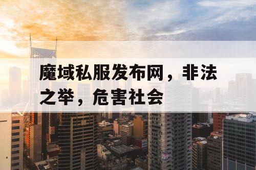 魔域私服发布网，非法之举，危害社会