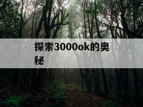 探索3000ok的奥秘