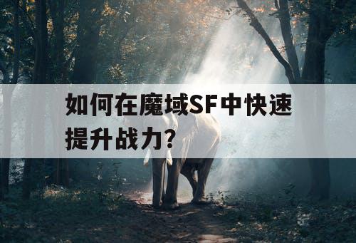 如何在魔域SF中快速提升战力？