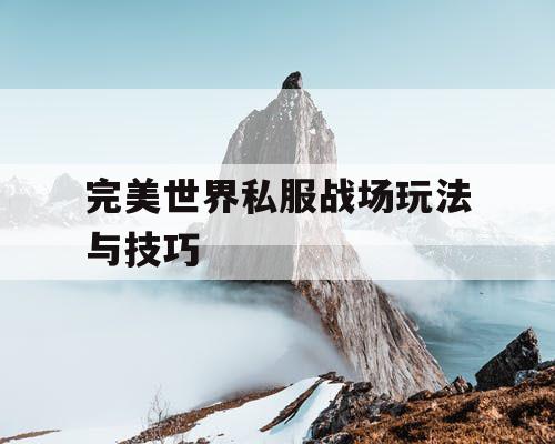 完美世界私服战场玩法与技巧