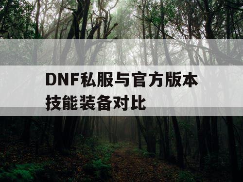DNF私服与官方版本技能装备对比